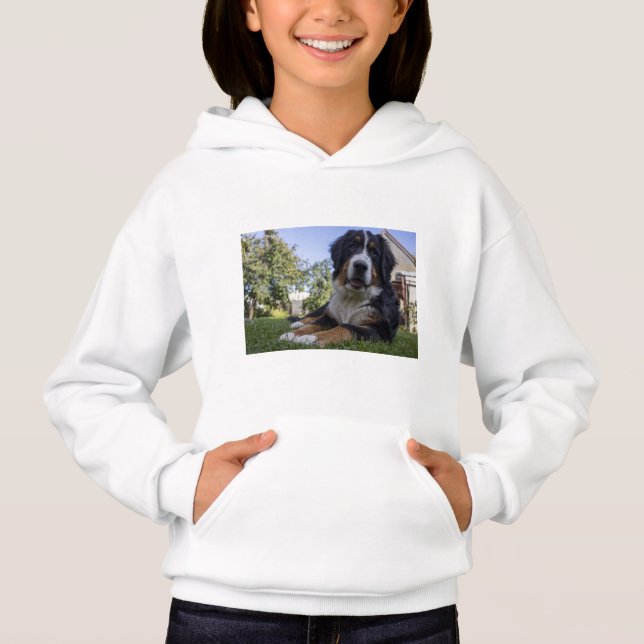 Camiseta bernese mountain dog deitado em segundo (Frente)