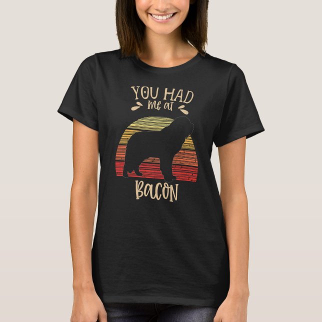 Camiseta Bernhardiner Dog Retro 2 (Frente)