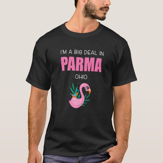 Camiseta Big Deal Sarcastic Parma Ohio Pink Flamingo Souven (Frente)