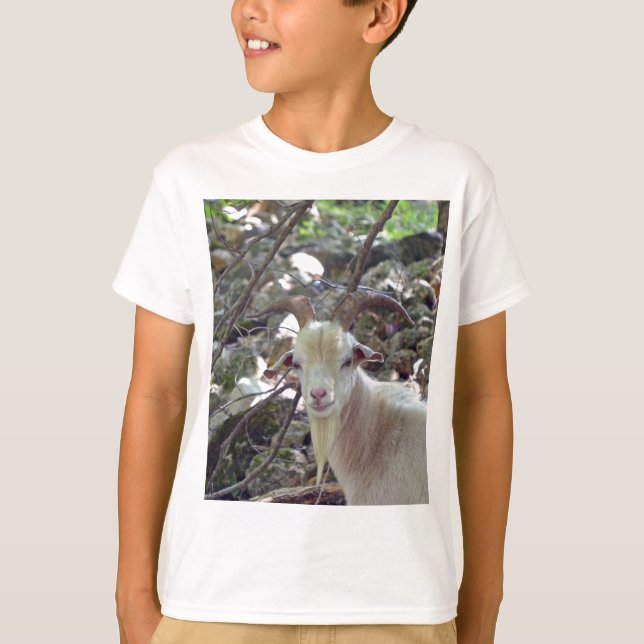 Camiseta Billy Goat (Frente)