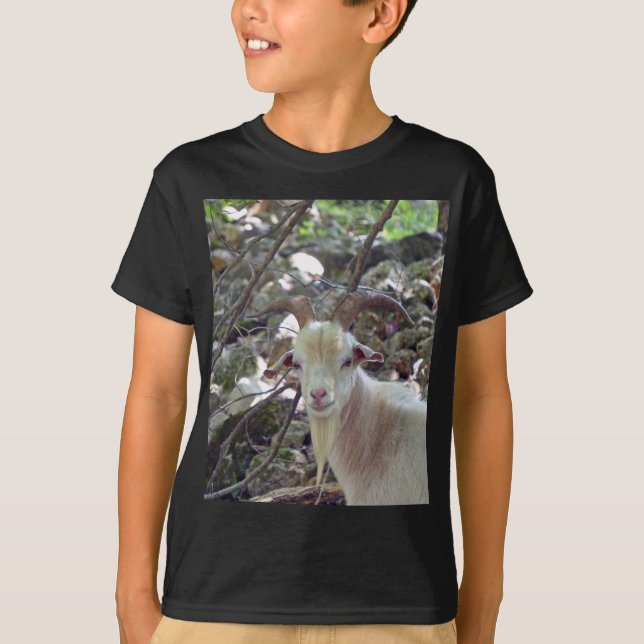 Camiseta Billy Goat (Frente)
