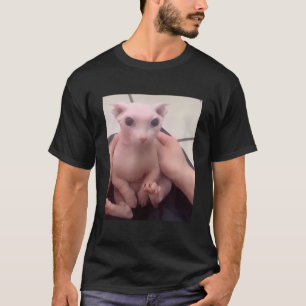 Camiseta Bingus Cachorro Meu Querido Gato De Esfinge Sem Ca