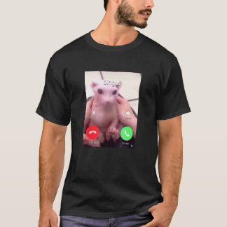 Camiseta Bingus Está Chamando Meu Amado Gato Sphynx Sem Pel