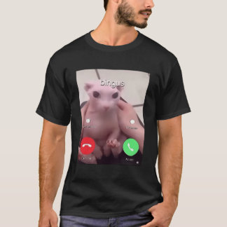 Camiseta Bingus Está Chamando Meu Querido Gato De Esfinge S