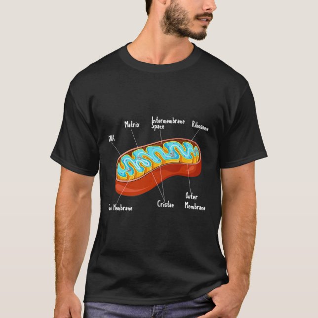 Camiseta Biologia Celular Mitocôndria Professora de Ciência (Frente)