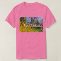 Camiseta Birdhouse Boulevard