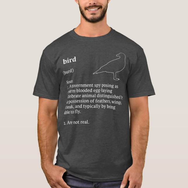 Camiseta Birds Arent Real Dictionary Minimalist (Frente)