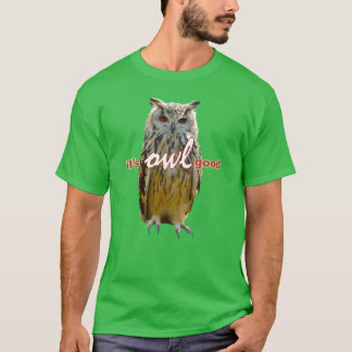 Camiseta Birds Owls Memeee Vintage amigo