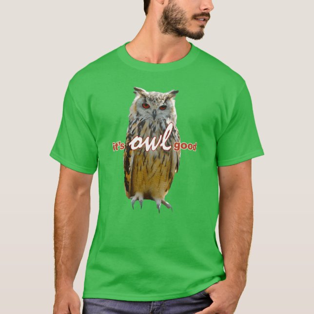 Camiseta Birds Owls Memeee Vintage amigo (Frente)