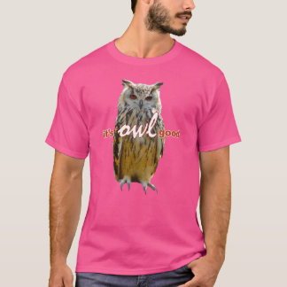 Camiseta Birds Owls Memeee Vintage amigo