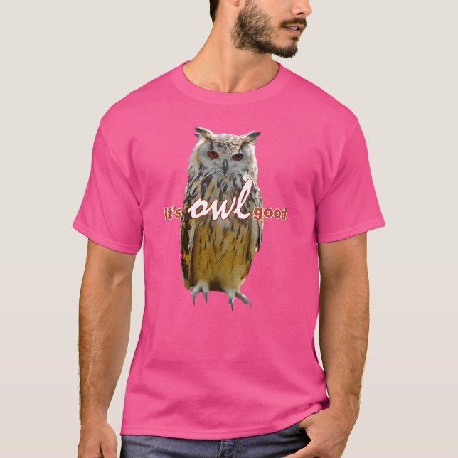 Camiseta Birds Owls Memeee Vintage amigo (Frente)