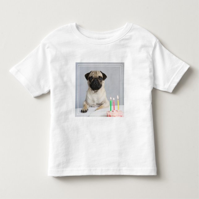 Camiseta Birthday Pug (Frente)