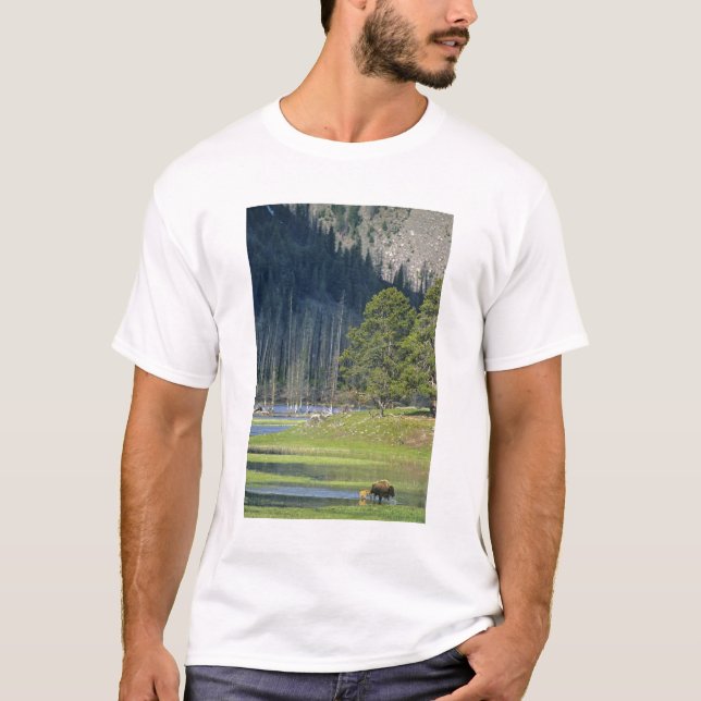 Camiseta Bisão com bezerro no Parque Nacional de Yellowston (Frente)