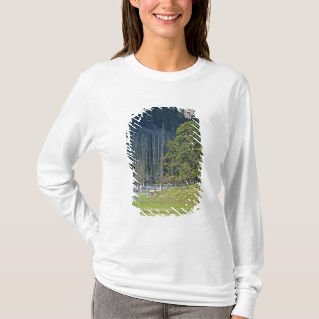 Camiseta Bisão com bezerro no Parque Nacional de Yellowston (Frente)