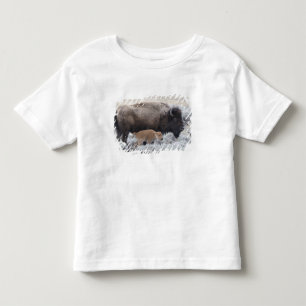 Camiseta Bisão Vaca e Bezerro, Yellowstone