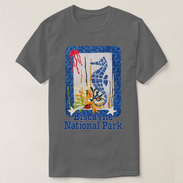 Camiseta Biscayne National Park Florida 2 (Frente do Design)