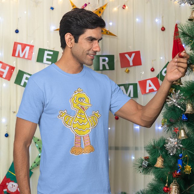 Camiseta Biscoito de gengibre do Big Bird (Person wearing shirt)