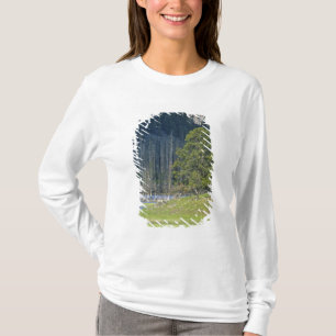 Camiseta Bison com bezerro no Parque Nacional Yellowstone