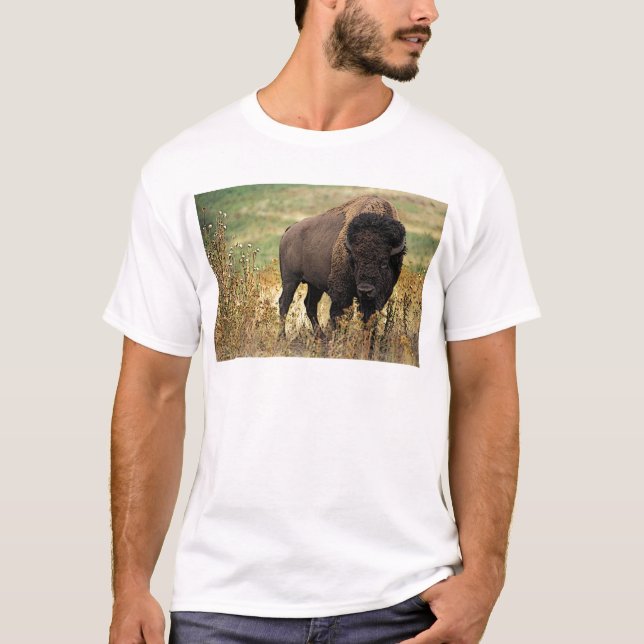 Camiseta Bisonte americano (Frente)