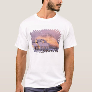 Camiseta Blackrock Cottage, Glencoe, Highlands, Scotland 2