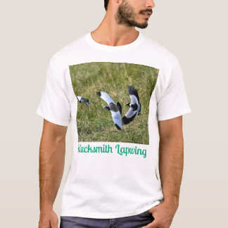 Camiseta Blacksmith Lapwing - Fatos rápidos: