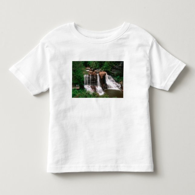 Camiseta Blackwater Falls, Virgínia Ocidental, cênico, (Frente)