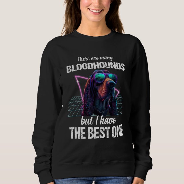 Camiseta Bloodhound Dog Bloodhounds  1 (Frente)