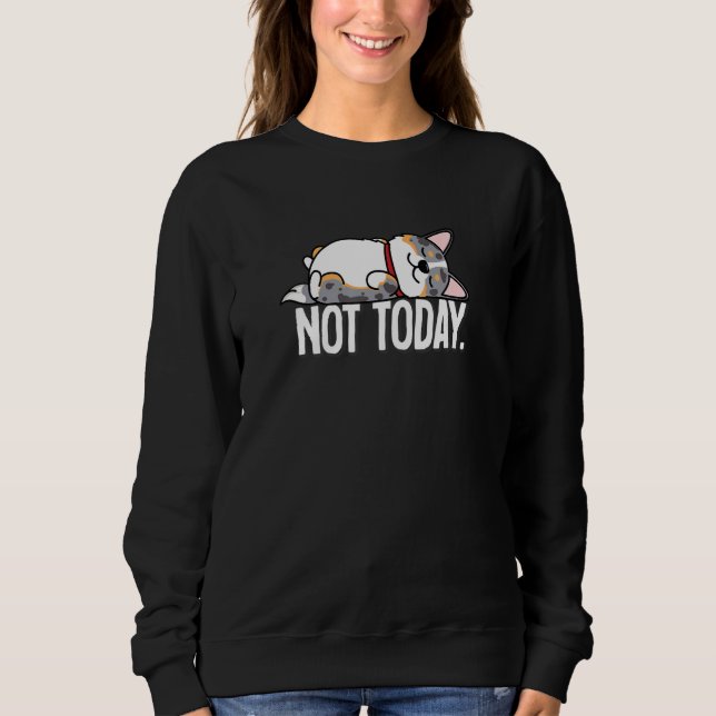 Camiseta Blue Merle Corgi (Frente)