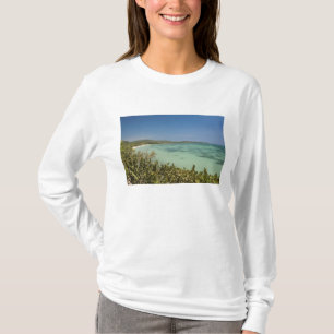 Camiseta Bluefields, Jamaica Sudeste
