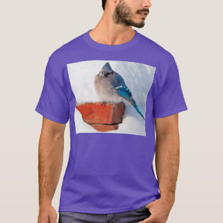 Camiseta Bluejay No Triblend Da Neve