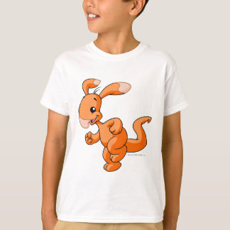 Camiseta Blumaroo Orange