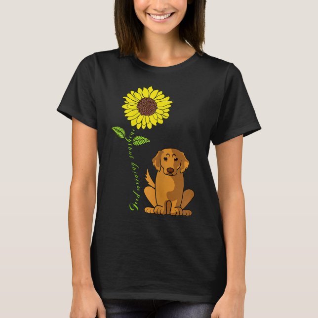 Camiseta Boas-Manhãs Ouro Sol Trégua (Frente)