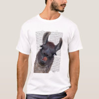 Bobo Llama
