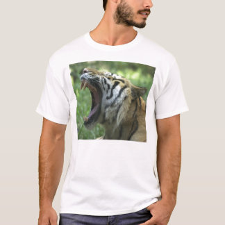 Camiseta bocejo do tigre