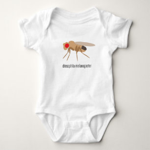 Camiseta Bodysuit do bebê da drosófila
