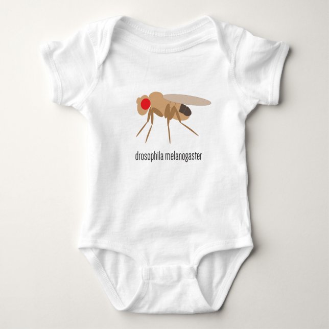 Camiseta Bodysuit do bebê da drosófila (Frente)