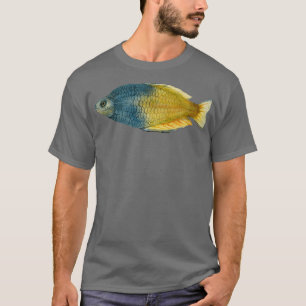 Camiseta Boesemani Rainbowfish
