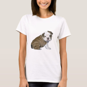Camiseta Bolcão Inglês Puppy (branco-castanho)