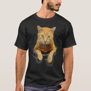 Camiseta Bolsinho de Gato Fofo de Estimação Raglan de Beise