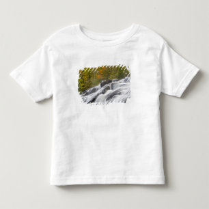 Camiseta Bond Falls no Middle Fork do Ontonagon