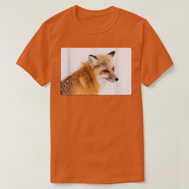 Camiseta Bonita (Frente do Design)