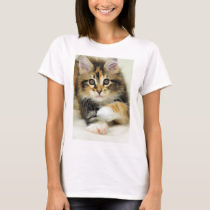 Camiseta Bonito