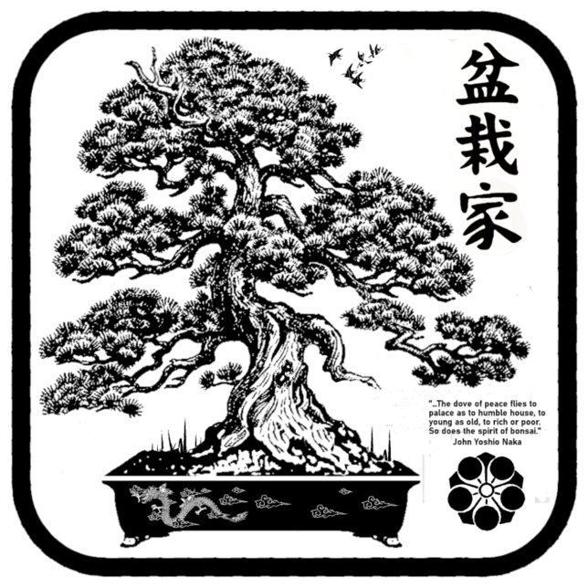 Camiseta bonsaika 2 (Criador carregado)