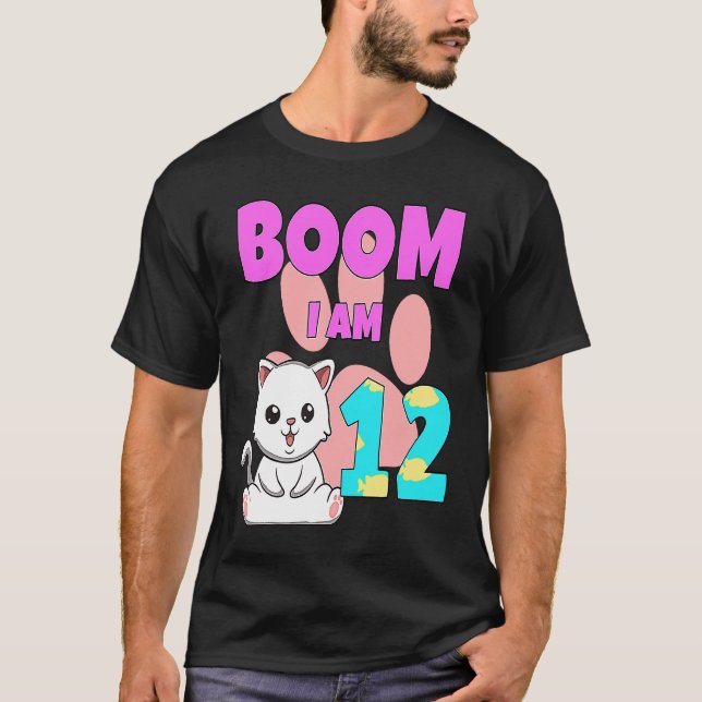 Camiseta Boom Tenho 12 Gato  1 (Frente)