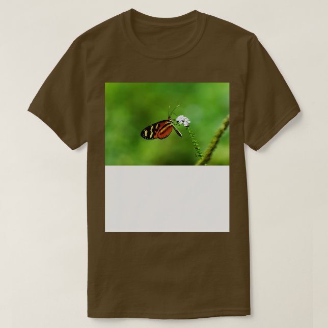 Camiseta Borboleta 1 (Frente do Design)