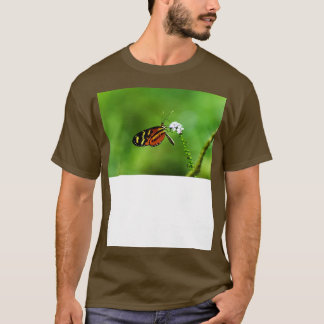 Camiseta Borboleta 1