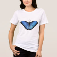 Borboleta Azul Morpho