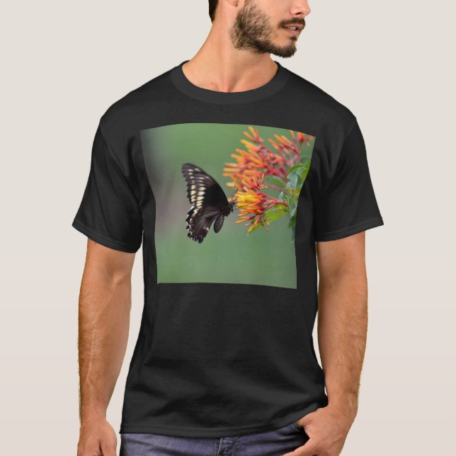 Camiseta Borboleta de Polydamus Swallowtail (Frente)