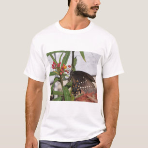 Camiseta Borboleta-do-mato-preto