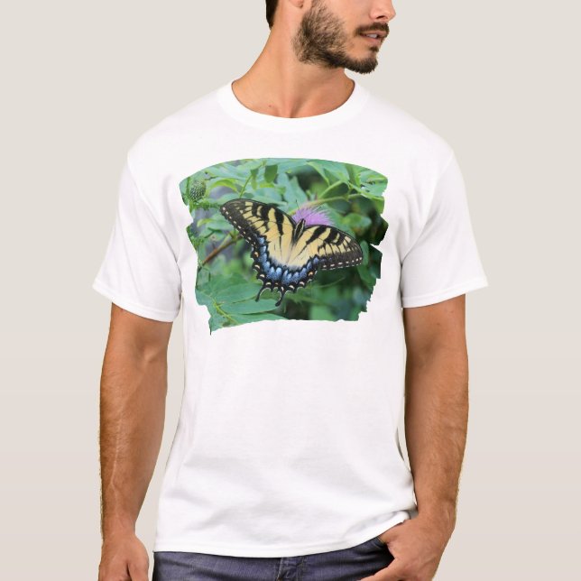Camiseta Borboleta do Swallowtail do Tigre Oriental (Frente)
